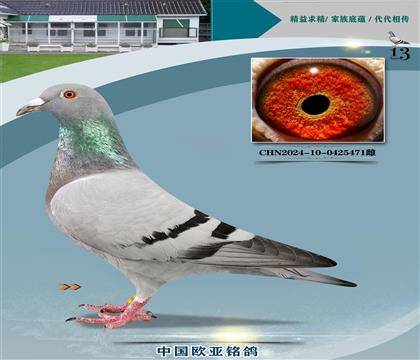 wȡ?sh)?03ֱXW̖(ho)398
