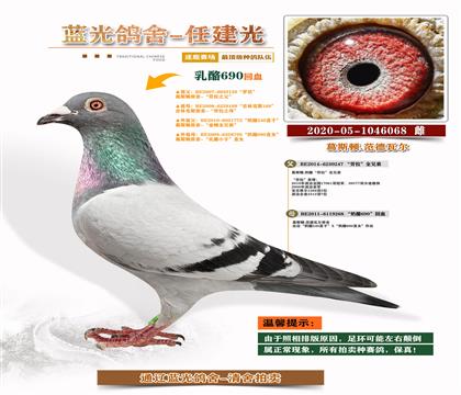 피(j)-S䌦(du)Ӵ