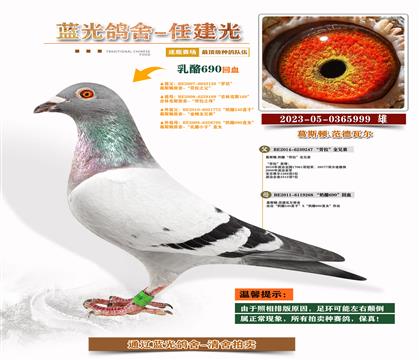 피(j)-S䌦(du)Ӵ