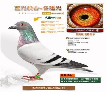 피(j)-S䌦(du)Ӵ