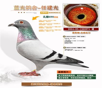 피(j)-S䌦(du)Ӵ