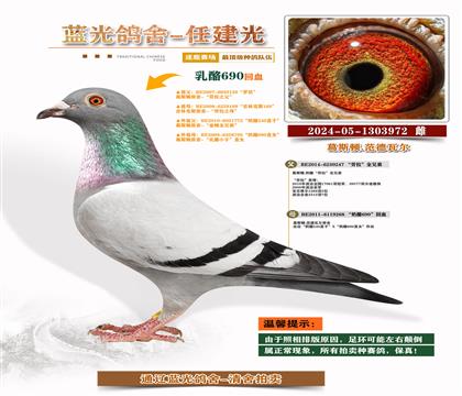 피(j)-S䌦(du)Ӵ