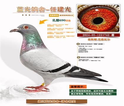 피(j)ҡS䌦(du)Ӵ