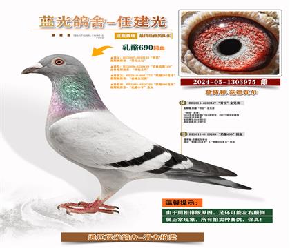 피(j)ҡS䌦(du)Ӵ