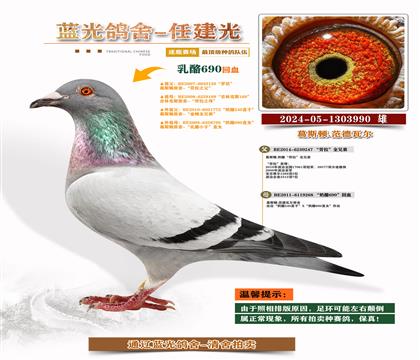 피(j)-S䌦(du)Ӵ