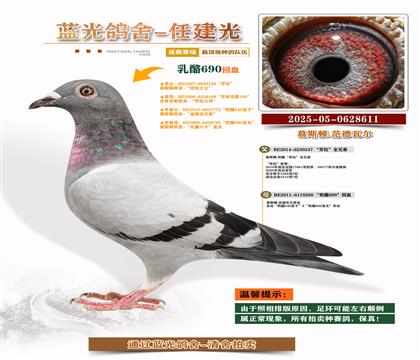 피(j)-S䌦(du)Ӵ