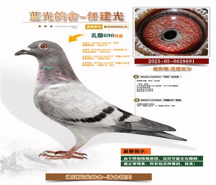 피(j)-S䌦(du)Ӵ