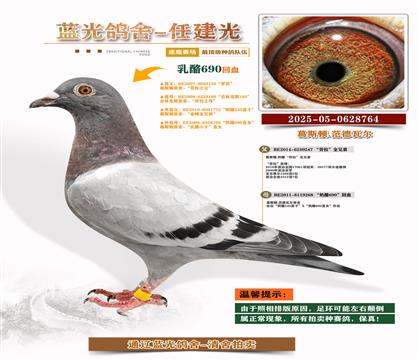 피(j)-S䌦(du)Ӵ