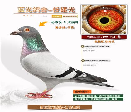 ܊S䌦Ӵ