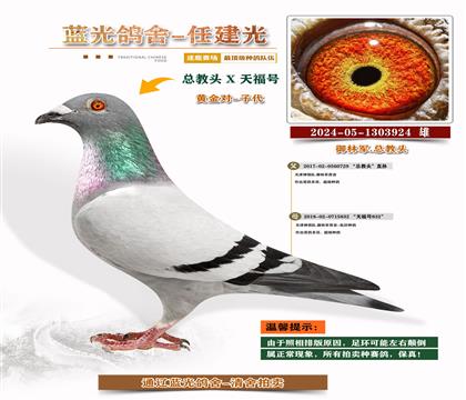 ܊S䌦Ӵ