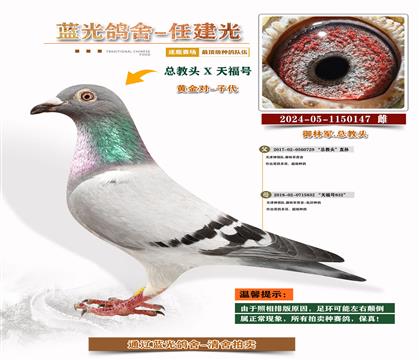 ܊S䌦Ӵ
