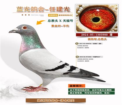 ܊S䌦Ӵ