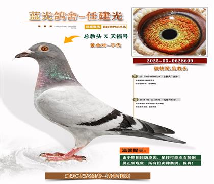 ܊S䌦Ӵ
