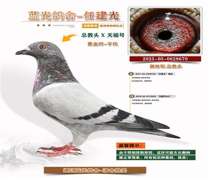 ܊S䌦Ӵ