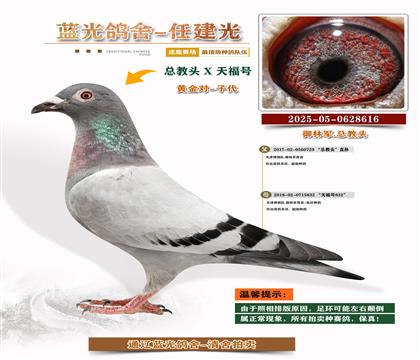 ܊S䌦Ӵ