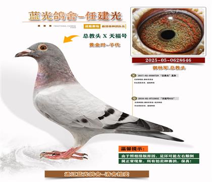 ܊S䌦Ӵ