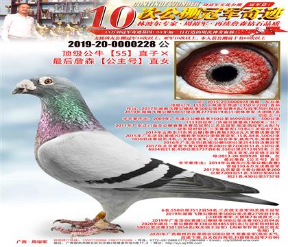피55ֱӡղɭֱ̖Ů