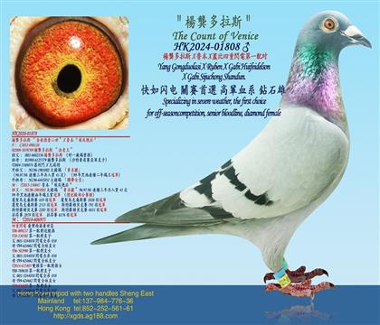 ˹X X wW늵һ䌦