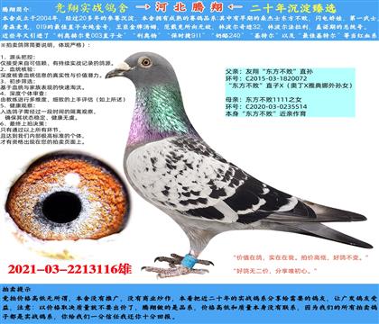I(y)|ֱOX|֮Ů11111
