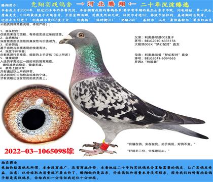 Wՠ003ֱXW(mng)䌦(du)ֱŮ