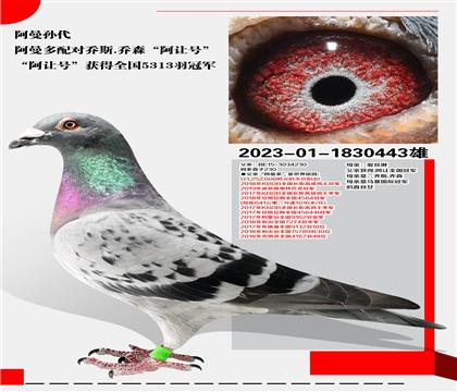 䌦˹.ɭ׌̖