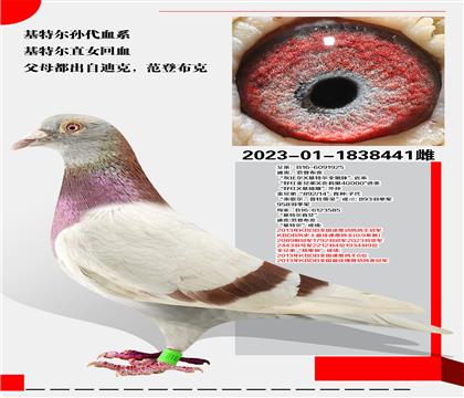 Ͽ.ǲ ؠOѪϵ