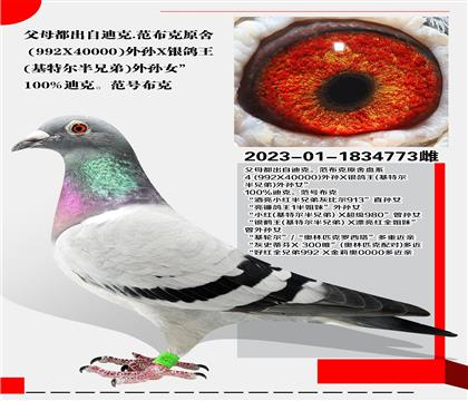 Ͽ.ǲ
