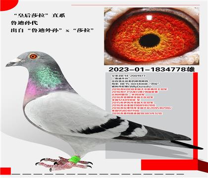 wȡʺɯֱϵ?sh)όO
