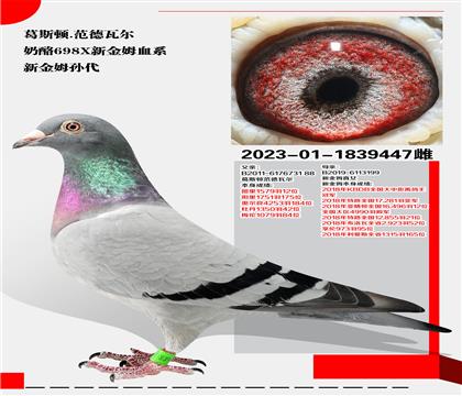 ˹D.ߠ698X½ķѪϵ