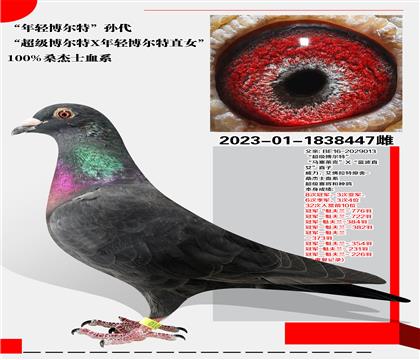 ɣʿ pءO
