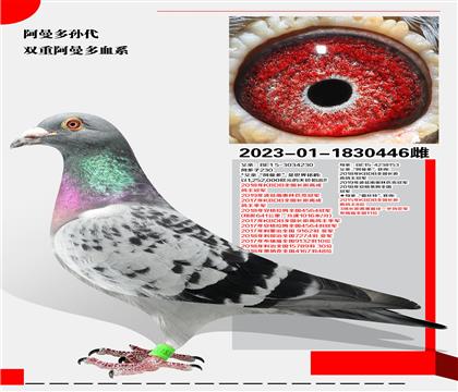 pذѪϵ