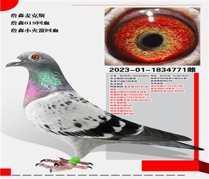 ղɭ˹ղɭСѪ