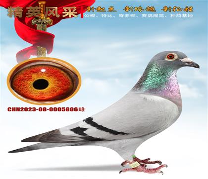 (qing)]c