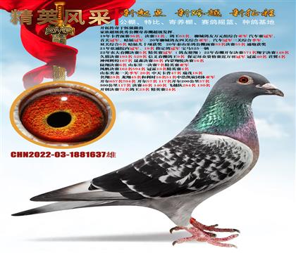 _؂ڑя(qing)