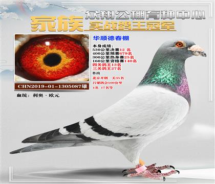 利奧087公棚12名