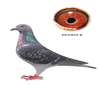 ׵Ϸֵ125