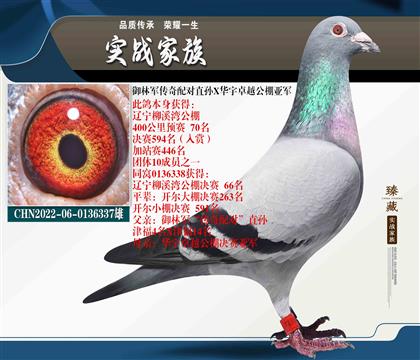 һCwλ-܊䌦 70