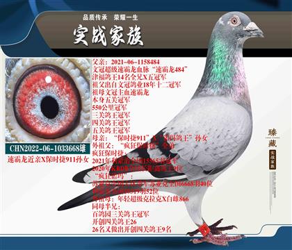 ڇ(gu)(ni)ِ(chng)҄(chung)ѿ(j)ĹٰHXr(sh)911