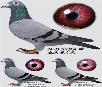 Ҡ