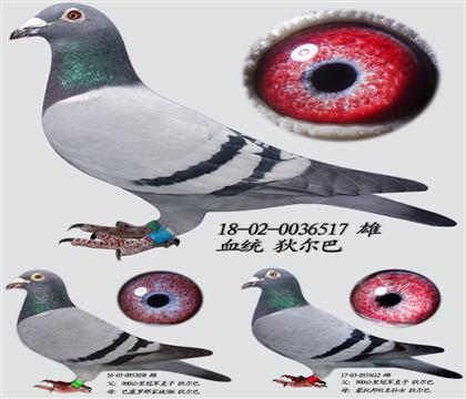 Ҡ