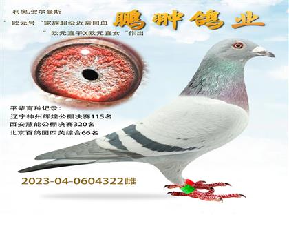 ŷԪֱ
