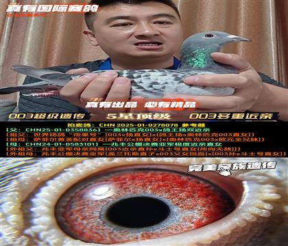 003(j)z003ؽH