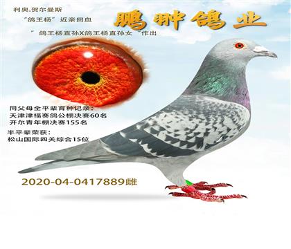  ׻Ѫ