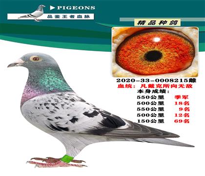 凡戴克 所向無(wú)敵 本身550公里季軍