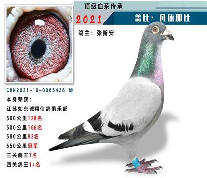 蓋比·凡德那比 本身550公里冠軍