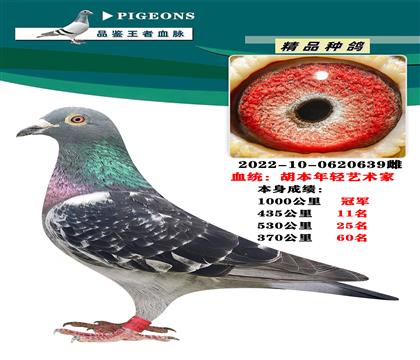 胡本 年輕藝術(shù)家 本身1000公里冠軍