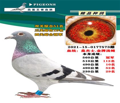 桑杰士.金牌湯姆 本身560公里冠軍