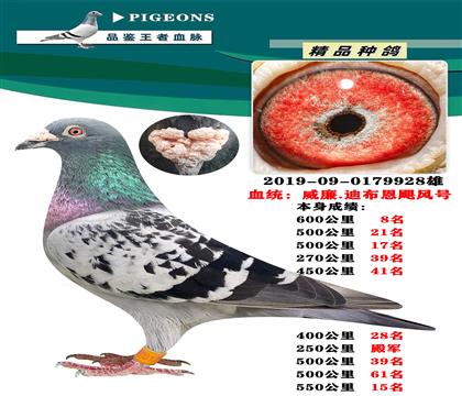 威廉.迪布恩颶風(fēng)號(hào) 本身600公里8名