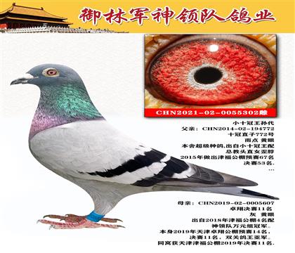 御林軍神領(lǐng)隊(duì) 小十冠王孫代