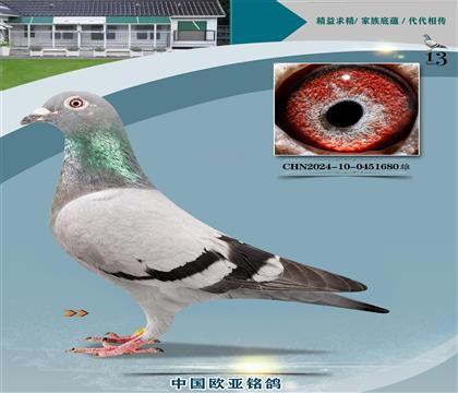 ٰ888X768HS䌦